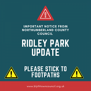 RIDLEY PARK - PROCEED WITH CAUTION