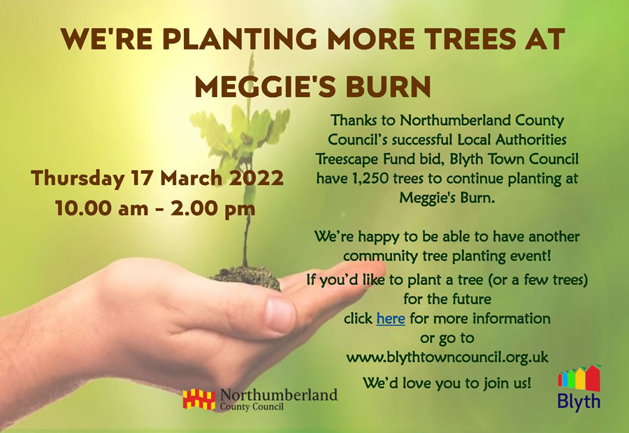Community Tree Planting at Meggie's Burn