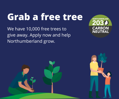 Grab yourself a free tree from Northumberland County Council